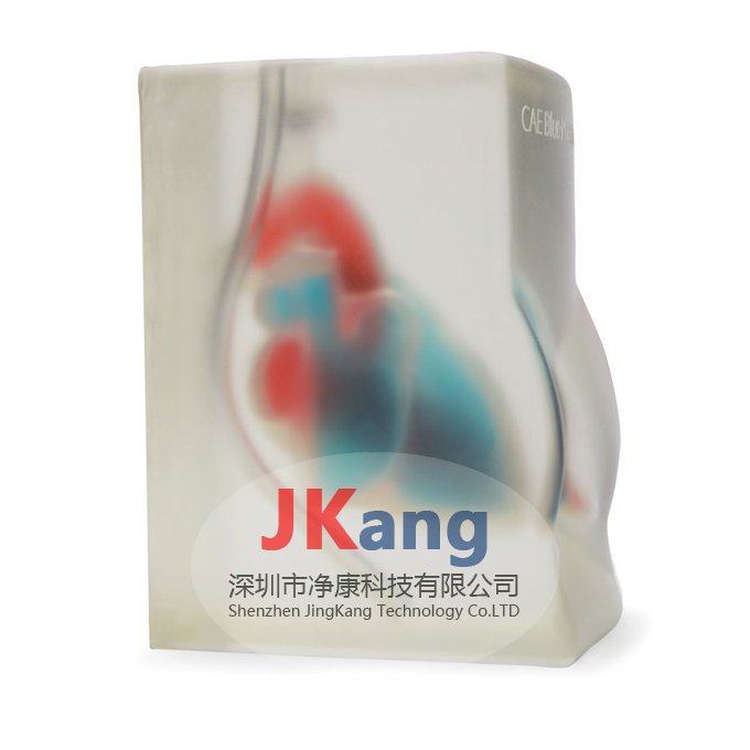 BPH700心臟超聲訓練塊,CAE BPH700心臟回聲超聲訓練模塊