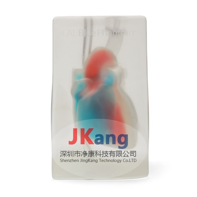CAE Blue Phantom心臟回聲超聲訓練模體,BPH700心臟超聲訓練模體
