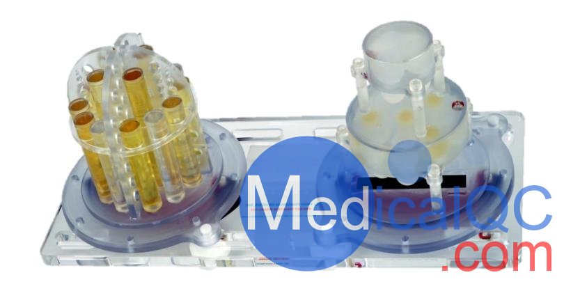 qMRI乳腺成像模體，美國QalibreMD qMRI定量核磁共振乳腺模體