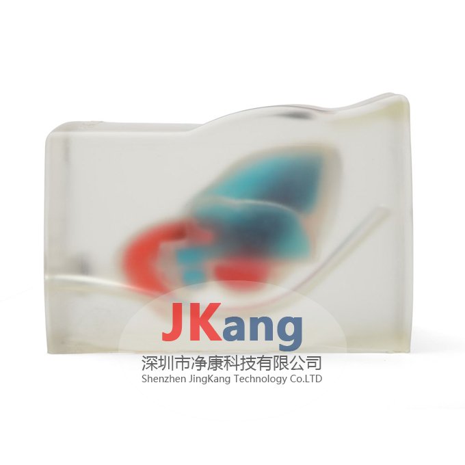 CAE Blue Phantom心臟回聲超聲訓練模體,BPH700心臟超聲訓練模體