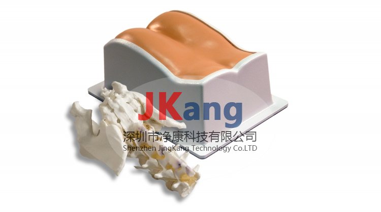 CIRS 034腰椎模體，CIRS 034穿刺訓(xùn)練模體