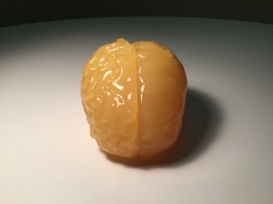 Truephantom BN-A01標(biāo)準(zhǔn)成人腦模體，適用于CT、MRI、超聲