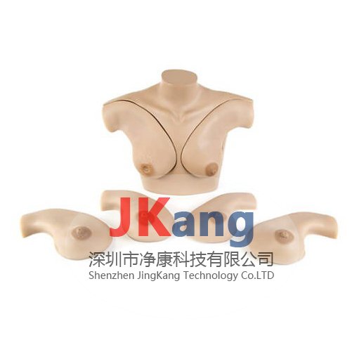 Gaumard S230.40乳房觸診技巧教練模體,S230.40臨床教學模體