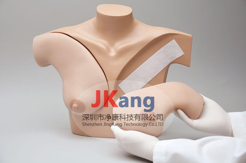 Gaumard S230.40乳房觸診技巧教練模體,S230.40臨床教學模體